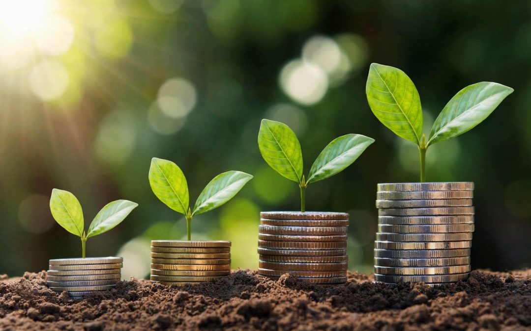 Roth IRA vs Traditional IRA: Which One Fits Your Situation?